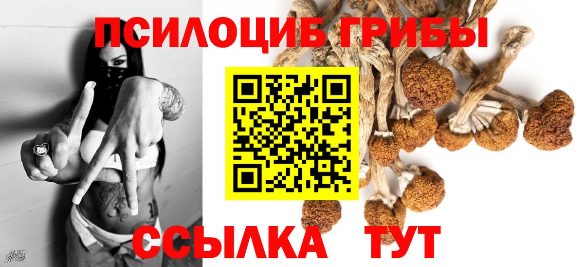 Урай  Псилоцибиновые грибы мицелий  Галлюциногенные грибы прущие грибы  Вход с VPN 